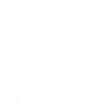 Oh Dog, votre pet sitter à Vevey, Blonay, Montreux et Riviéra. Toilettage. Promenade, garde et pension.