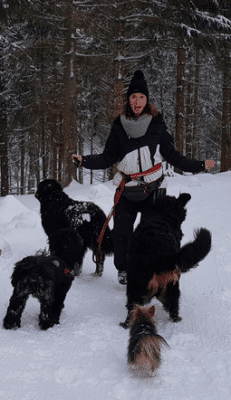 Pet sitter promeneur de chien , garde d'animaux, pension pour chien, hiver, maelle,Vevey, Blonay,Riviéra,OhDog