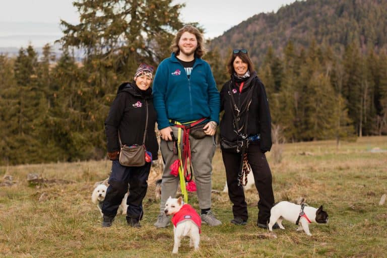 Oh Dog l'équipe de promeneurs de chiens au complet