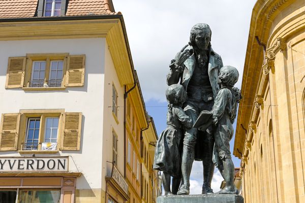 oh dog pet sitter yverdon vaud suisse